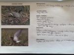 IMG-20220613-WA0006.jpg