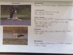 IMG-20220613-WA0005.jpg