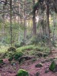 Park_Narodowy2.jpeg