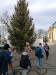 IMG_20191217_123946.jpg