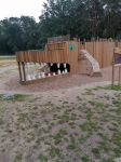 IMG_20200930_114344.jpg