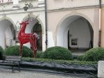 IMG_20191217_132646.jpg