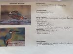 IMG-20220613-WA0003.jpg