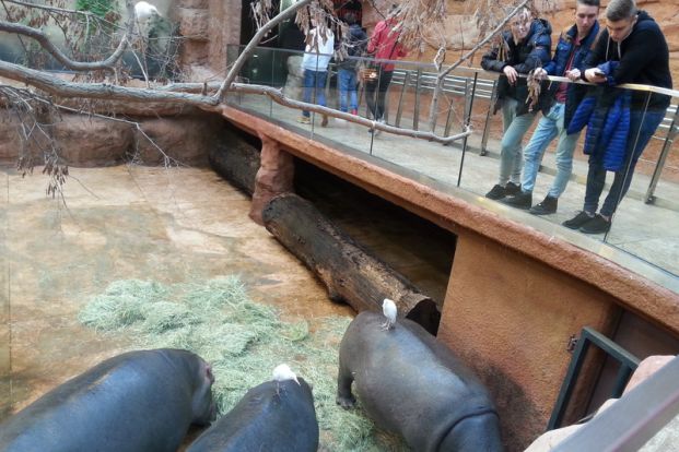 2015_sms_w_zoo1.jpg