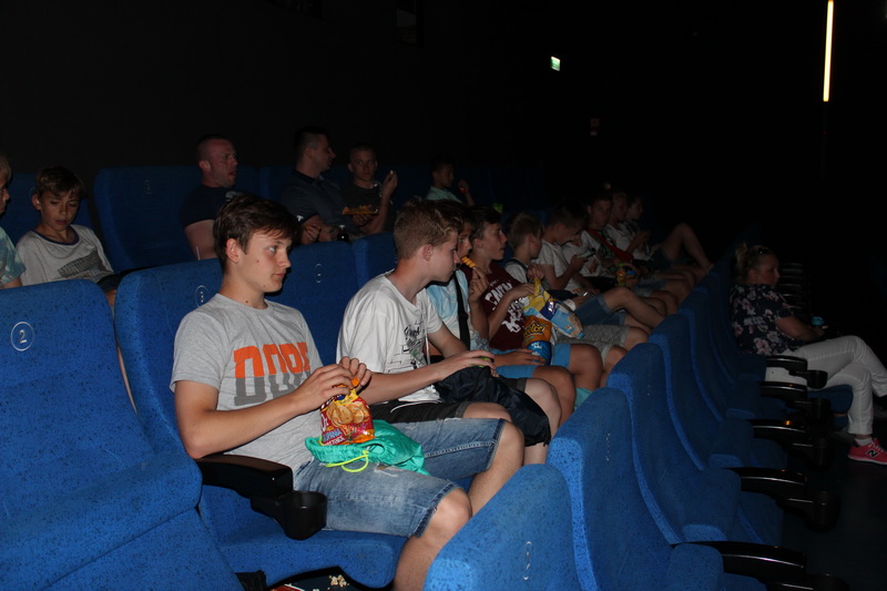2017_kino_sms.jpg