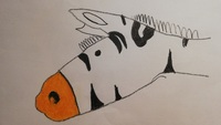 rysowanie_z_pomysem_7_m.jpg