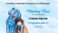 Bkitny_Pies_m.jpg