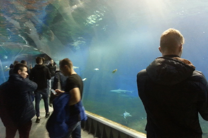 2015_sms_w_zoo.jpg